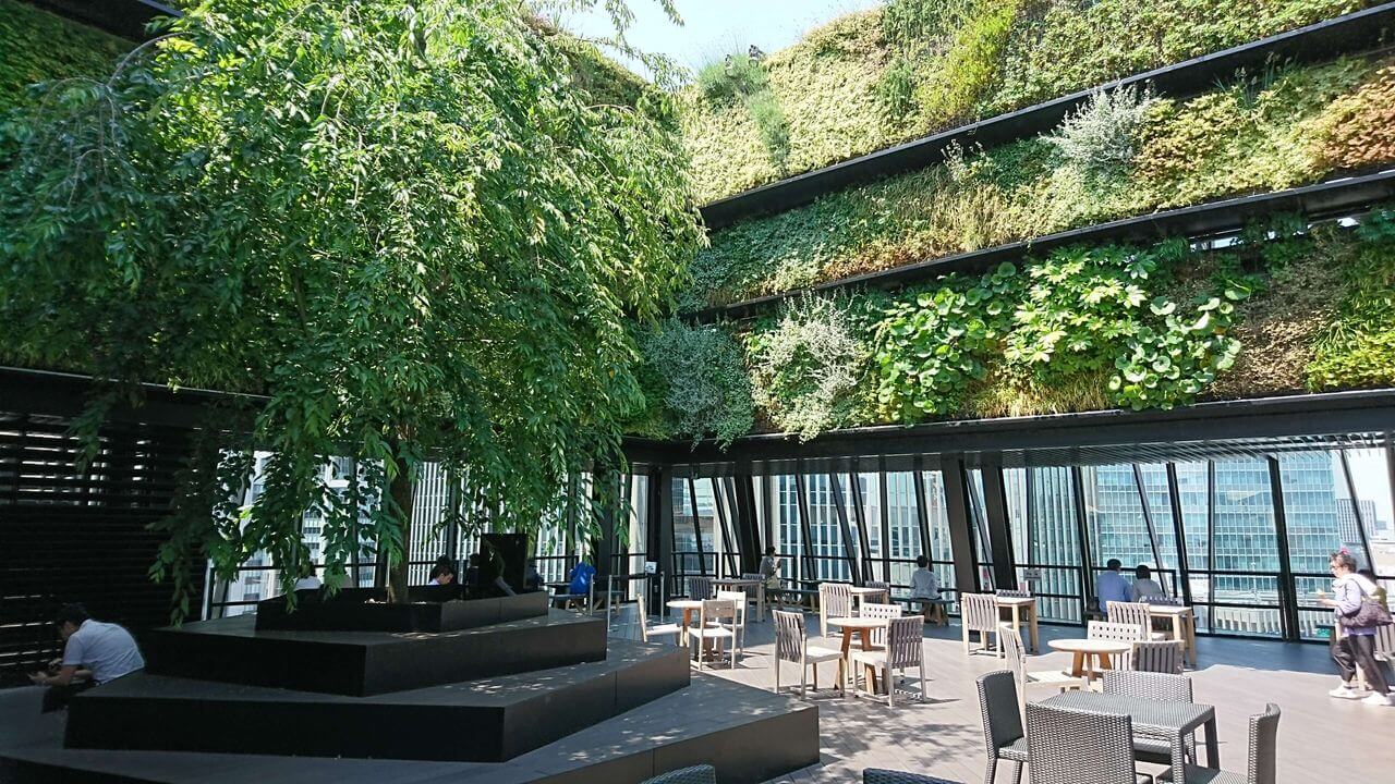 東急プラザ銀座の屋上庭園「KIRIKO TERRACE」が最高でした！のブログ画像