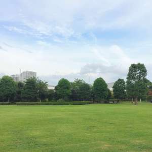 またしても保育園落選のブログ画像