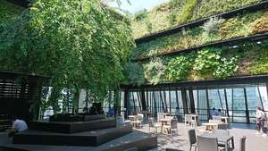 東急プラザ銀座の屋上庭園「KIRIKO TERRACE」が最高でした！のブログ画像