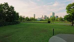 品川にこんな都会のオアシスがあったとは…のブログ画像