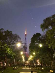 世界自閉症啓発デーの青い東京タワーのブログ画像