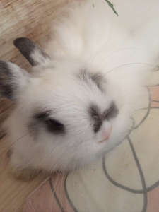 haijiのアイコン