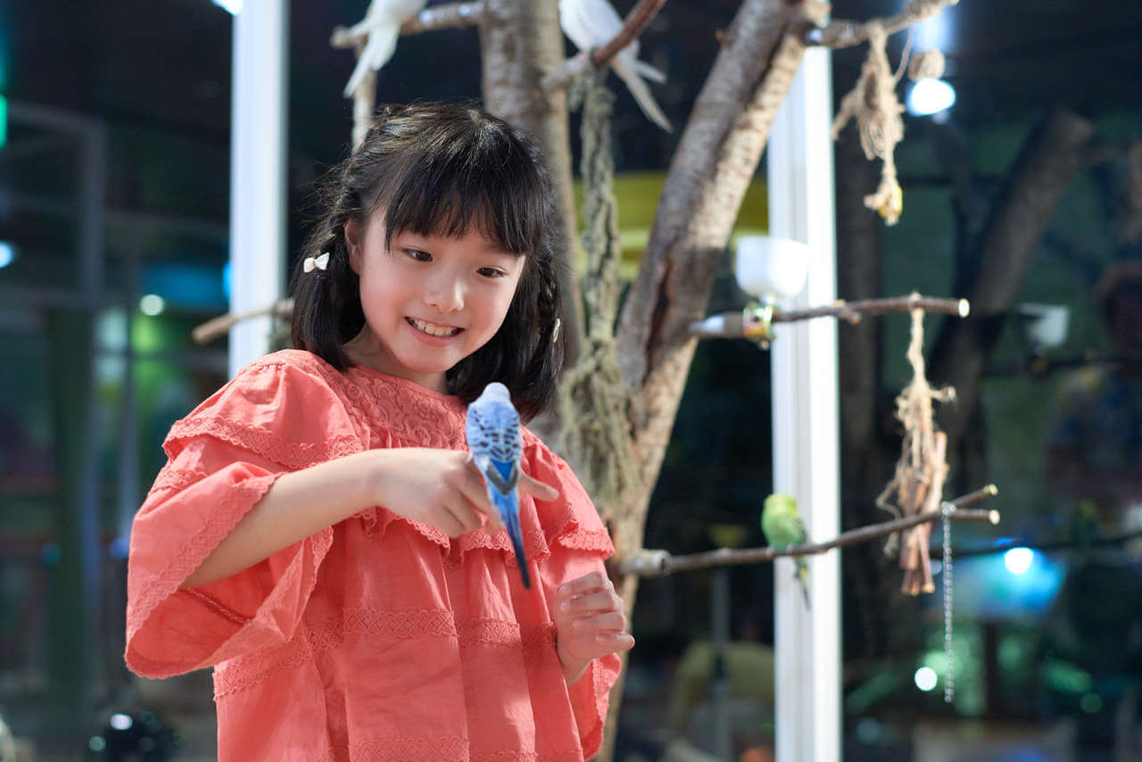 横浜みなとみらいの屋内型体験パーク 「オービィ横浜」 が2018年4月1日に動物と触れ合えるデジタルとリアルを融合したリニューアルオープンへ！
